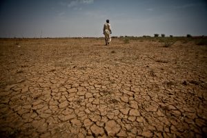 Arid soils in Mauritania, crops have failed and the region faces a major food crisis. Over 700,000 people are affected in Mauritania and 12 million across West Africa. ESP Tierra árida en Mauritania. Las cosechas han sido deficitarias y la región se encuentra haciendo frente a una grave crisis alimentaria. Más de 700,000 personas están en riesgo en Mauritania y 12 millones en el Sahel.  Fr: Sols arides en Mauritanie. Les récoltes nont rien donné et la région est confrontée à une crise alimentaire majeure. Plus de 700 000 personnes sont menacées en Mauritanie et 12 millions dans l'ensemble du Sahel.