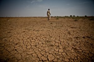 Arid soils in Mauritania, crops have failed and the region faces a major food crisis. Over 700,000 people are affected in Mauritania and 12 million across West Africa. ESP Tierra árida en Mauritania. Las cosechas han sido deficitarias y la región se encuentra haciendo frente a una grave crisis alimentaria. Más de 700,000 personas están en riesgo en Mauritania y 12 millones en el Sahel.  Fr: Sols arides en Mauritanie. Les récoltes nont rien donné et la région est confrontée à une crise alimentaire majeure. Plus de 700 000 personnes sont menacées en Mauritanie et 12 millions dans l'ensemble du Sahel.