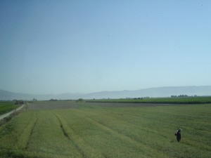 agriculture iran_photo de Toby Leung