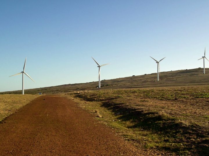 L’offre d’EDF retenue pour 3 projets éoliens en Afrique du Sud