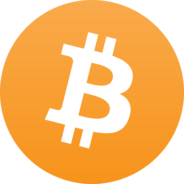 Bitcoin : intérêt et fonctionnement de cette monnaie du futur