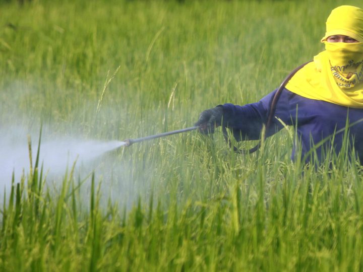 Stéphane Le Foll veut réduire les pesticides de 50 % d’ici 2025