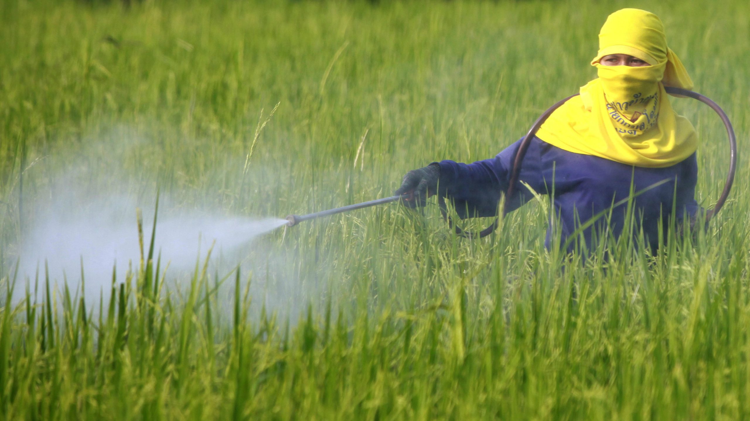 Stéphane Le Foll veut réduire les pesticides de 50 % d’ici 2025