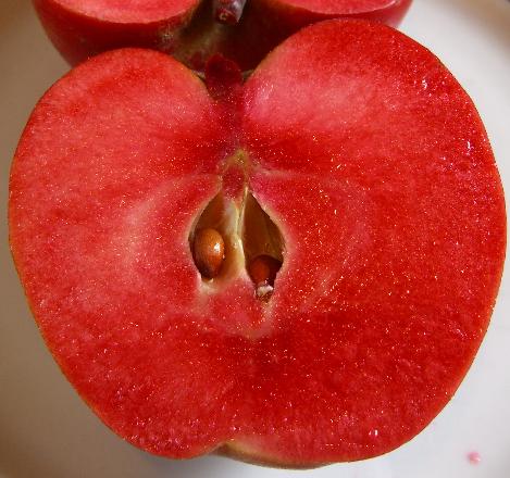 La pomme à chair rouge inondera le marché français