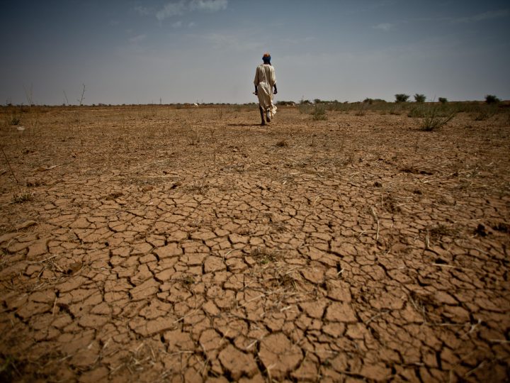 Le changement climatique à l’honneur du New York Forum Africa 2015