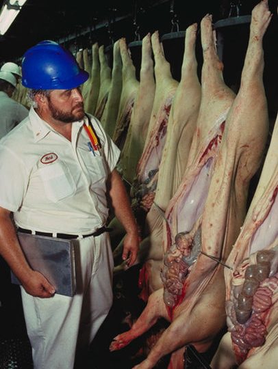 Bigard accepte d’acheter le porc à prix réduit