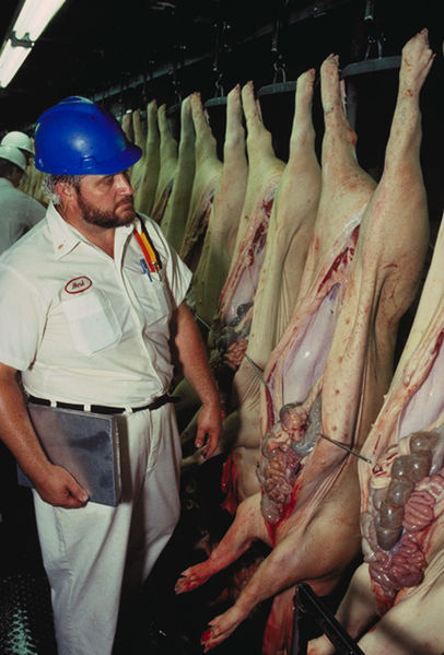 Bigard accepte d’acheter le porc à prix réduit