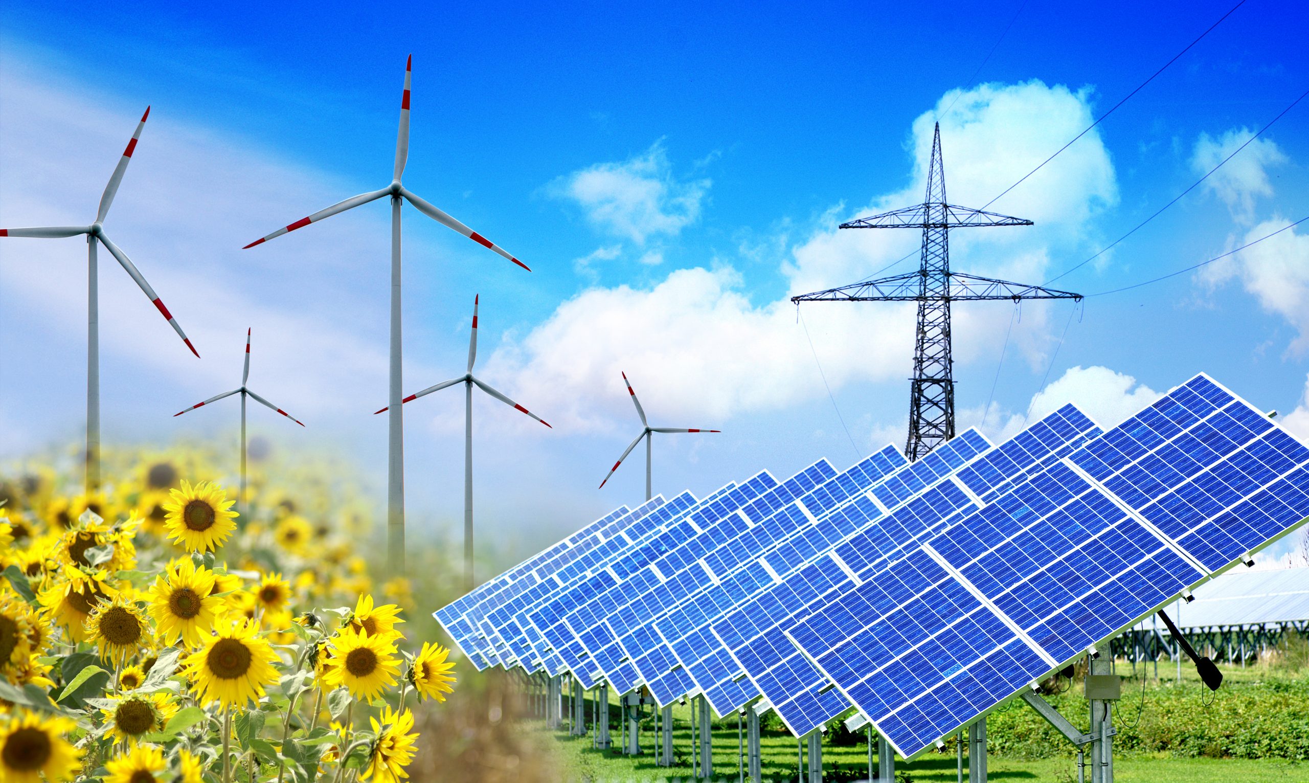 TotalEnergies joue un rôle majeur dans les énergies renouvelables aux États-Unis