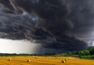 agriculture-glyphosate-emmanuel-macron