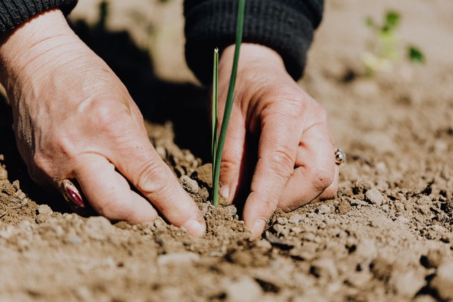 Les agriculteurs français tirent la sonnette d’alarme après la vague de suicides dans la profession