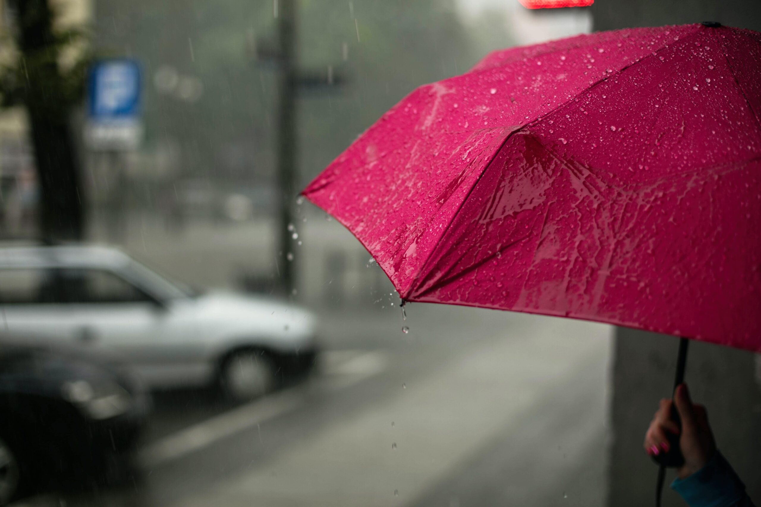 InsurTech : la startup française Evy lève 6,6 millions d’euros