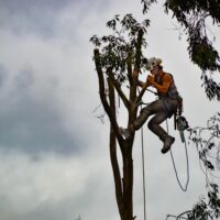 recruter-filière-forêt-bois