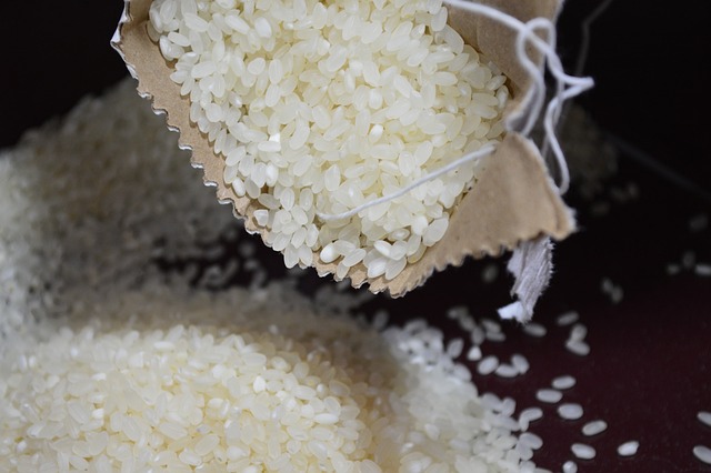 La Corée du Sud lance son mégaprojet de « ceinture du riz »
