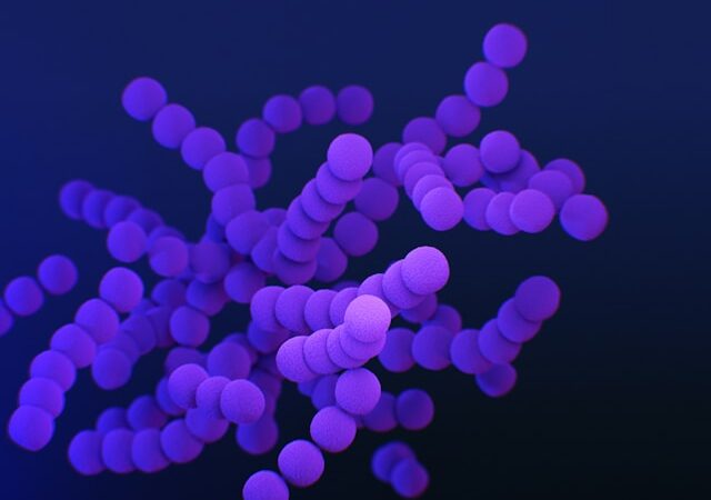 PFAS : les polluants éternels bientôt neutralisés par un parasite intestinal ?