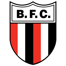 Football : Botafogo croit s’être fait arnaquer par Lyon
